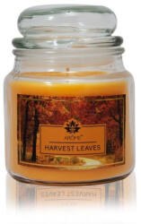Brightenzi Szüreti Levelek - Aromagyertya üvegben (dd8595556467459)