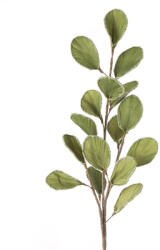  Virág 733 Zöld (422758)