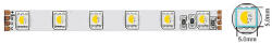 VITO LED ЛЕНТА VITO STRIP PLUS 24V 14.4W/м 1470lm RGB+4000К 60LED IP20 5м (5540490)
