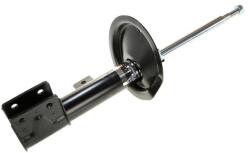 Magnum Technology Amortizor MAGNUM TECHNOLOGY AGP107MT (AGP107MT) - fixbox