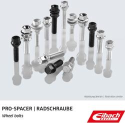 EIBACH Surub roata EIBACH S1-1-12-75-50-19 (S1-1-12-75-50-19)