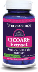Herbagetica Cicoare extract 60 comprimate
