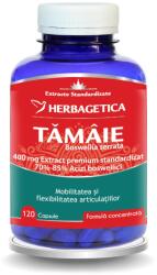 Herbagetica Tamaie Boswellia Serrata 120 comprimate