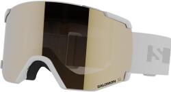 Salomon S/VIEW ACCESS Gri (L47253100)