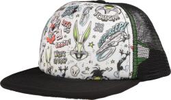 Looney Tunes Friends (looney Tunes_friends_cap)