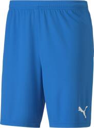 PUMA Team Goal 23 Knit Shorts (70426202)