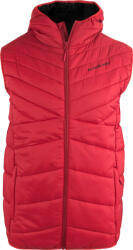 ALPINE PRO Vers (mveb091446r)