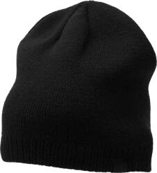 4F Winter Cap (4faw23acapm304-20s)