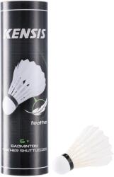 Kensis Fsc 6 (fsc 6 U25a)