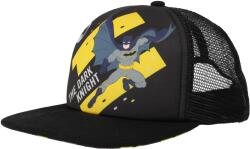 Warner Bros. Interactive Batman Dark Hat (batman_dark_hat)