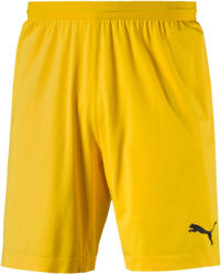 PUMA FINAL evoKNIT GK Shorts (70345507)