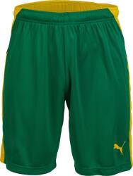 PUMA Kc Liga Shorts (70368907)