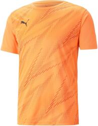 PUMA Individualrise Graphic Tee (65813150)