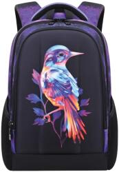 S-Cool Ghiozdan ergonomic S-COOL SC2951, 40x29x14 cm, Motiv bird (SC2951)