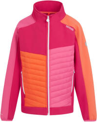 Regatta Gyermekek/gyerekek Brynden Padded Full Zip Soft Shell kabát 15/16 EVES rózsaszín