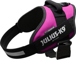 Julius-K9 IDCPowerhám felirattal, méret 1 sötét pink