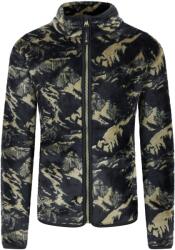 Dare2b Gyermekek/gyerekek Zesty Fleece kabát zöld