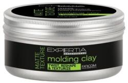 Expertia Molding Clay Matte Texture hajformázó, 100 ml - hajvarazs