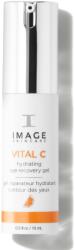 IMAGE Skincare Vital C Hydrating Eye Recovery Gel 15ml