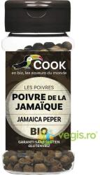 COOK Boabe de Ienibahar fara Gluten (Solnita) Ecologice/Bio 30g