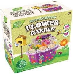 Mikrotrading Grow&decorate vypěstuj si květiny, 4 druhy sazenic, s doplňky, v PVC květináči, v krabičce (MI34720)