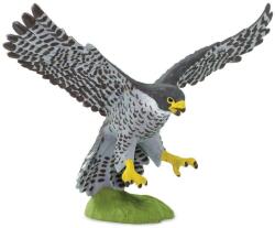 Safari Ltd Madár Vándor Sólyom (002152 Saf)