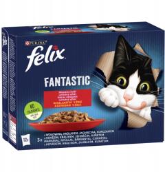 FELIX Fantastic macskaeledel vidéki ízek zselében 1, 02 kg (12x85g)
