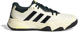adidas Încălțăminte de tenis pentru bărbați Solematch Ctrol 2 White/Silver EUR 43 1/3