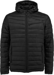 Willard Sodeberg (jmst1w-23203-b)