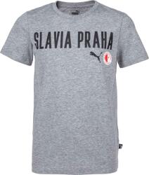 PUMA Slavia Prague Graphic Tee Jr GRY (76405502)