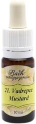 Bach Bach virágterápia, 10 ml - Vadrepce, a fény virága - 21-es