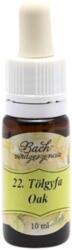 Bach Bach virágterápia, 10 ml - Tölgyfa, a kitartás virága - 22-es