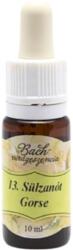 Bach Bach virágterápia, 10 ml - Sülzanót, a remény virága - 13-as