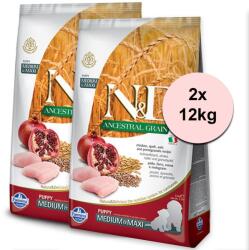 N&D Ancestral Grain Puppy medium & maxi chicken & pomegranate 2x12 kg