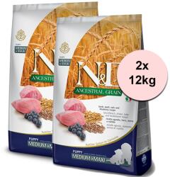 N&D Low Grain Puppy Medium & Maxi lamb & blueberry 2x12 kg