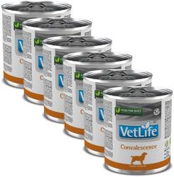 Vet Life Convalescence 6x300 g
