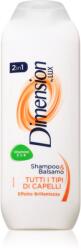 Dimension by Lux 2in1 sampon és kondicionáló 2 in1 minden hajtípusra 250 ml