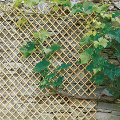 Nortene Wick Trellis vessző apácarács, kihúzható (50x150 cm) natúr (2014452)