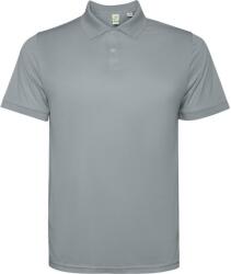 ROLY Férfi Tormo rövid ujjú póló pólóing L szürke