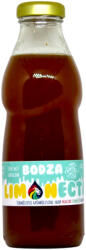 Termelői LIMONECTAR Szörp - Bodza 200ml (min. 2, 4 literhez)