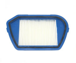 Rowenta Compacteco Ergo Cyclonic porszívóhoz HEPA filter/szűrő