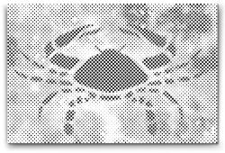  PontPöttyöző - Csillagjegy - Rák Méret: 40x60cm, Keretezés: Műanyagtáblával, Szín: Piros