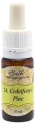 Bach Bach virágterápia, 10 ml - Erdei fenyő, önmagunk elfogadásának virága - 24-es