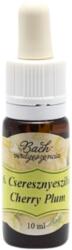 Bach Bach virágterápia, 10 ml - Cseresznyeszilva, a higgadtság virága - 6-os