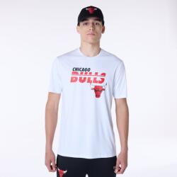 New Era Chicago Bulls Essentials , Alb , L
