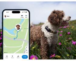 Tractive DOG 6 - GPS nyomkövető kutyáknak és egészségügyi monitor, fekete - abc-zoo