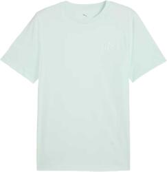 PUMA Essentials Small No. 1 Logo Tee (68253550)