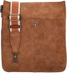 Zebra Trends Cynthia 22602 Brown