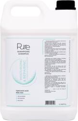 Laboratoire Diamex Diamex Sampon PURE Moisturizing & Repairing - 5 lt