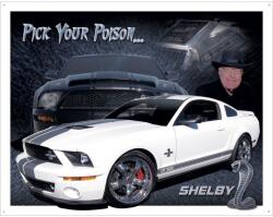 Desperate Enterprises Ford Shelby Mustang Pick Your Poison. . . fémplakát 40, 5 x 31, 5 "TACD1610 (1610)
